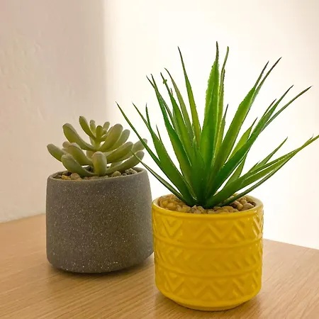 Апартаменты μικρό 20μ από την κεντρική πλατεία Каламата