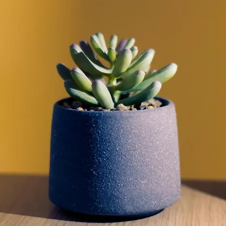 Apartamento μικρό 20μ από την κεντρική πλατεία Kalamata