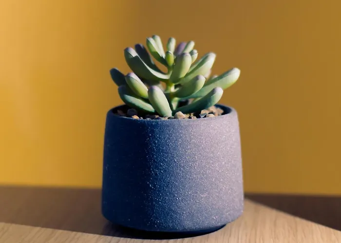 Appartement μικρό 20μ από την κεντρική πλατεία Kalamáta