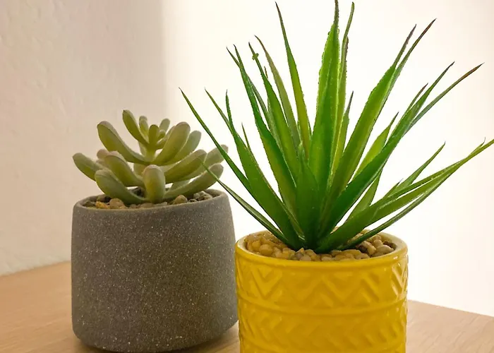 Appartement μικρό 20μ από την κεντρική πλατεία Kalamáta